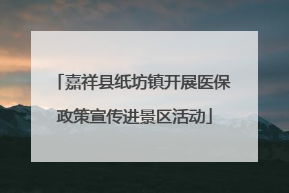 嘉祥县纸坊镇开展医保政策宣传进景区活动